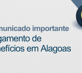 Edição 23 (23)